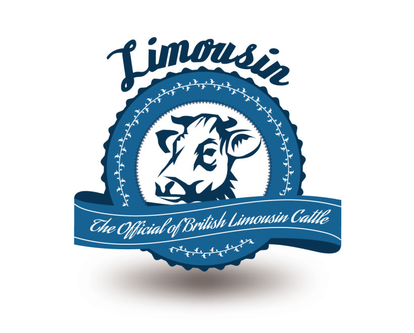 Branding Limousin -1
