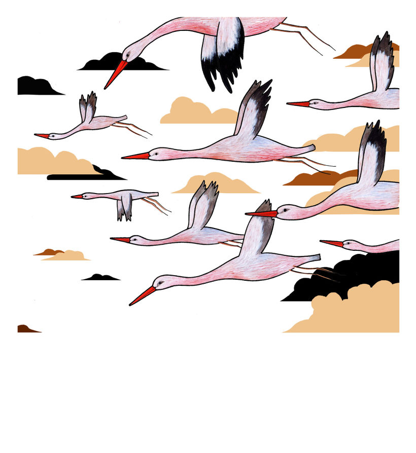 Storks -1