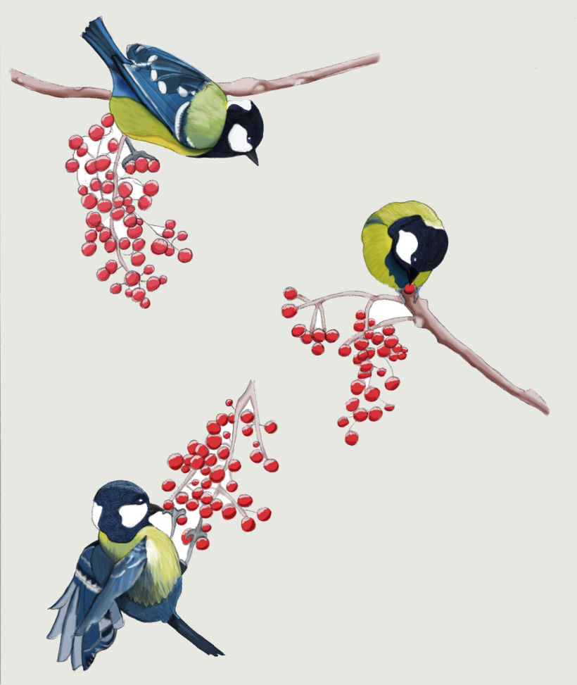 Pájaros. Ilustración técnica mixta 0