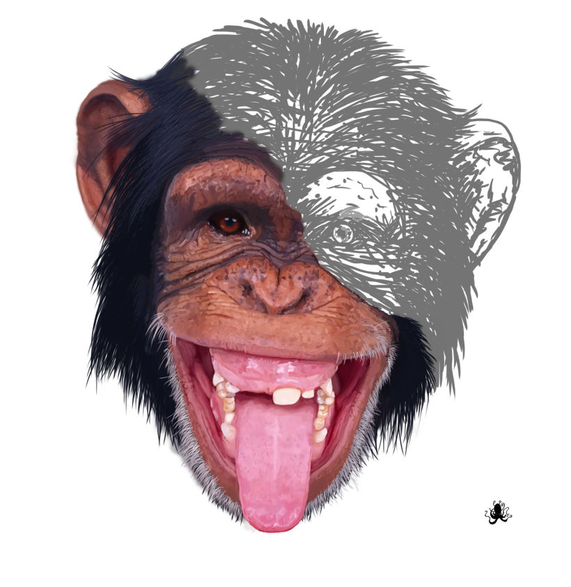 chimpance. Photoshop brushes. 0