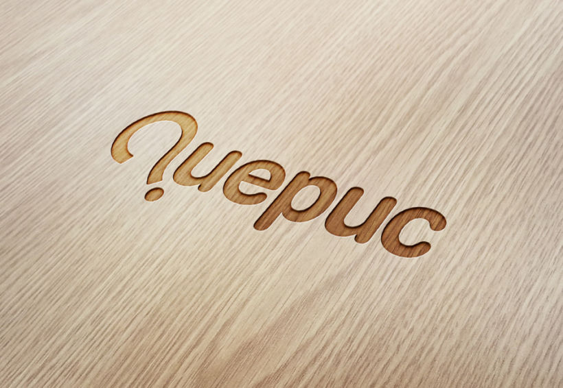 Quepuc - Naming & logo 0