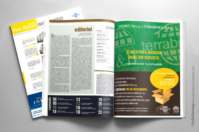 Revista Inmobiliaria Tierra y Bienes - Diseño Editorial 0