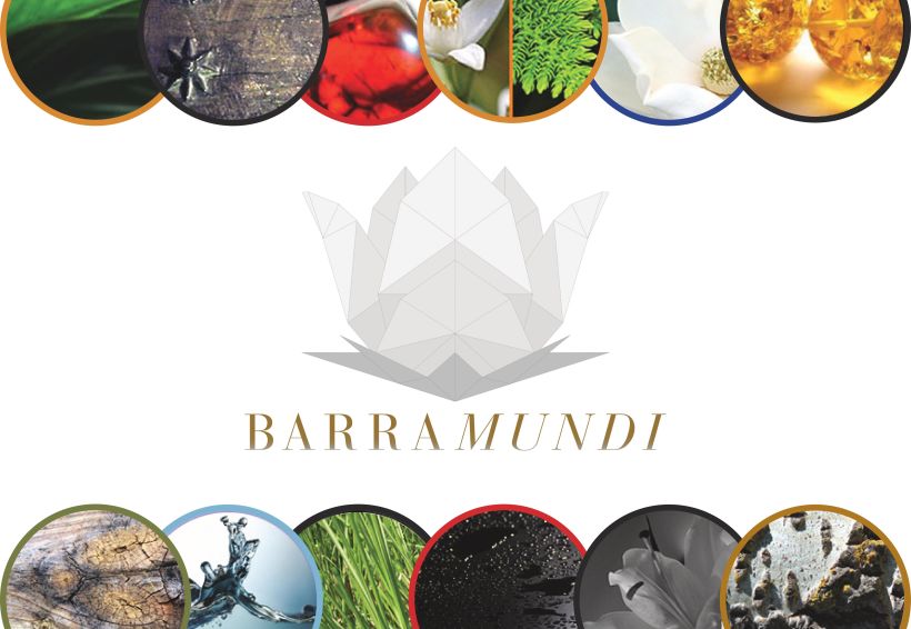 Catálogo Aromas Barramundi 2015 -1