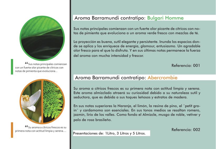 Catálogo Aromas Barramundi 2015 1