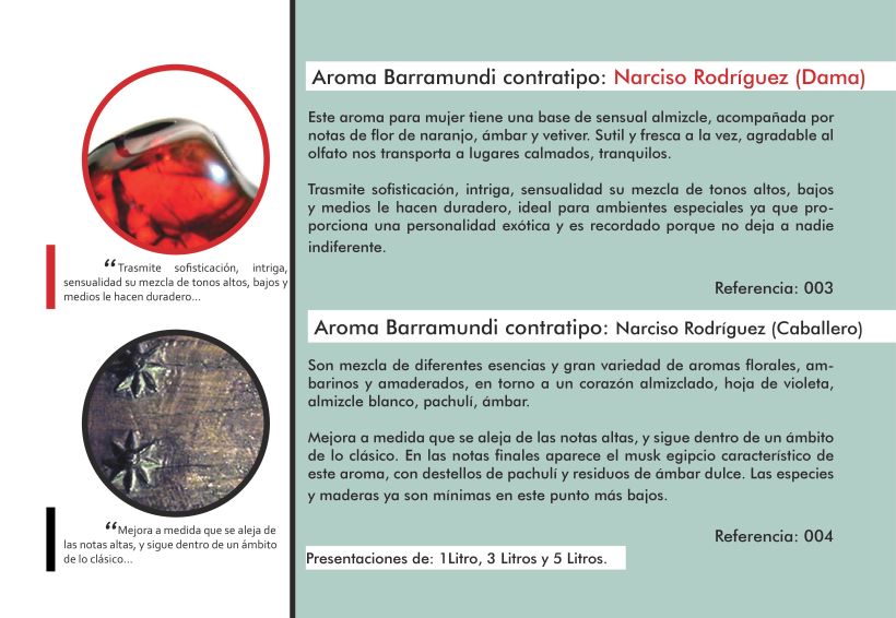 Catálogo Aromas Barramundi 2015 2