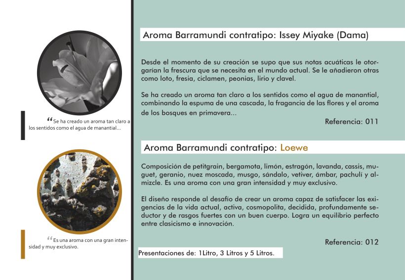 Catálogo Aromas Barramundi 2015 6