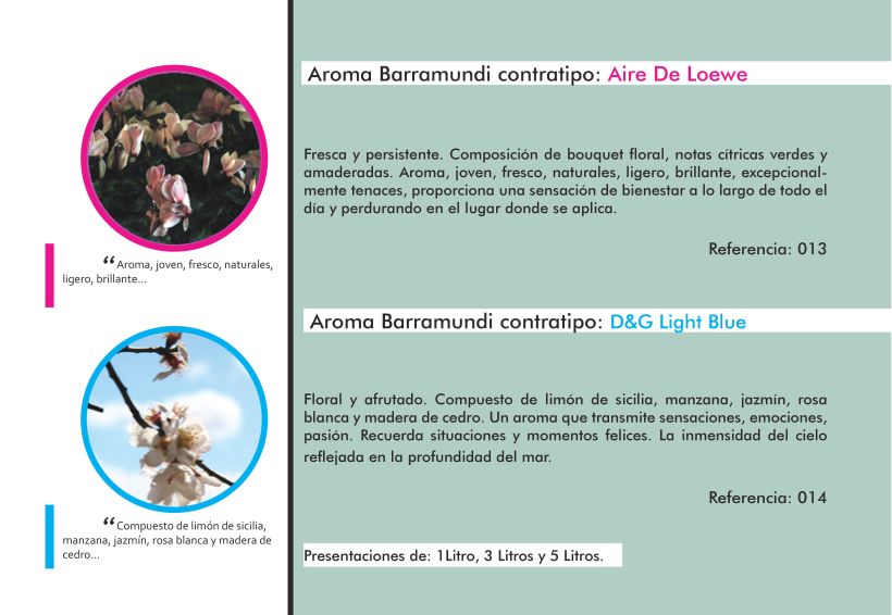 Catálogo Aromas Barramundi 2015 7