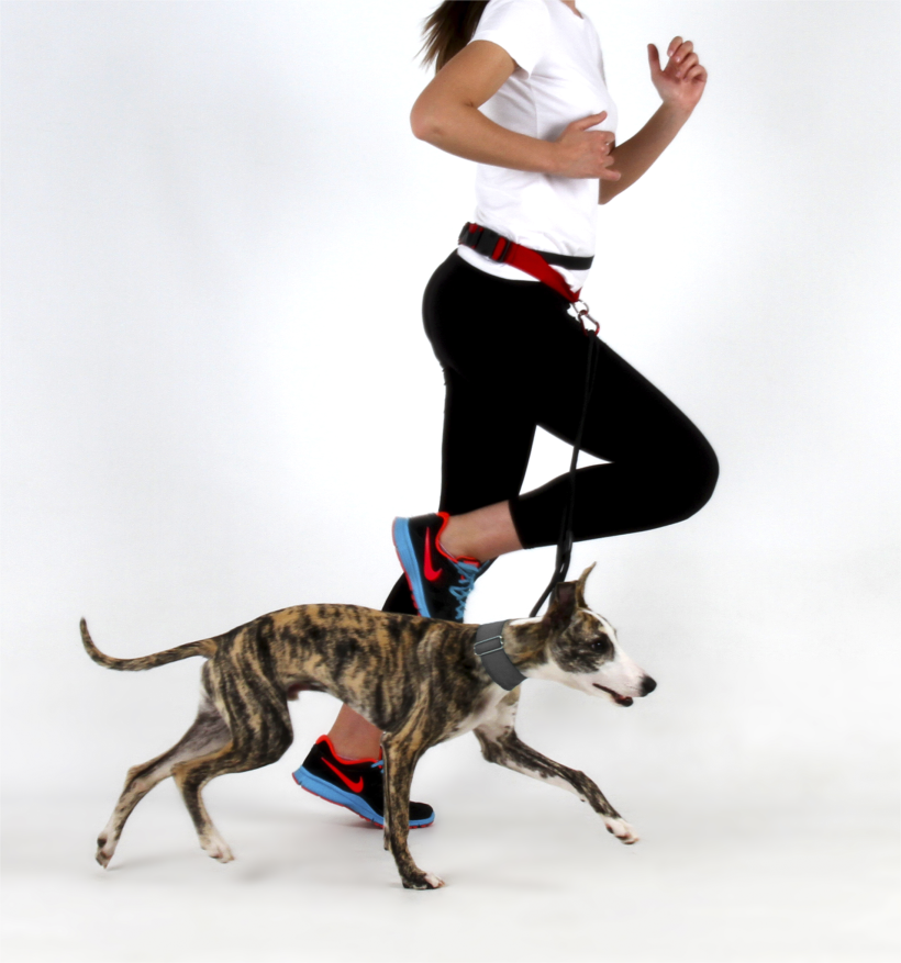 Correa para correr con el perro. Design Magazine BY Hector Serrano 0