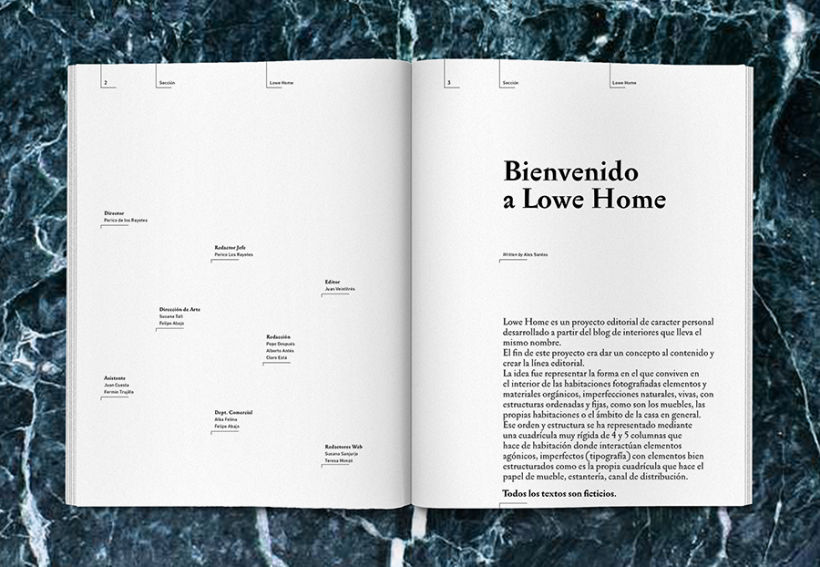 Lowe Home - Proyecto Personal Editorial 5