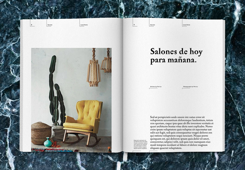 Lowe Home - Proyecto Personal Editorial 7