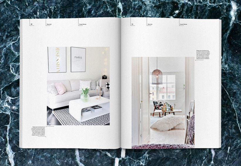 Lowe Home - Proyecto Personal Editorial 8