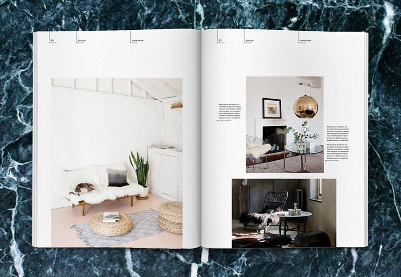 Lowe Home - Proyecto Personal Editorial 11