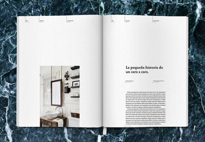 Lowe Home - Proyecto Personal Editorial 13