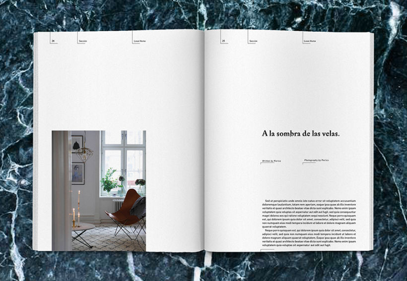 Lowe Home - Proyecto Personal Editorial 14