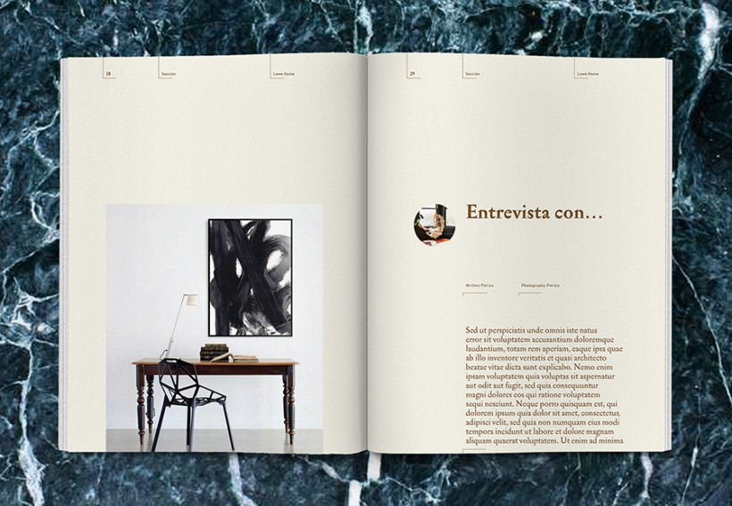 Lowe Home - Proyecto Personal Editorial 15
