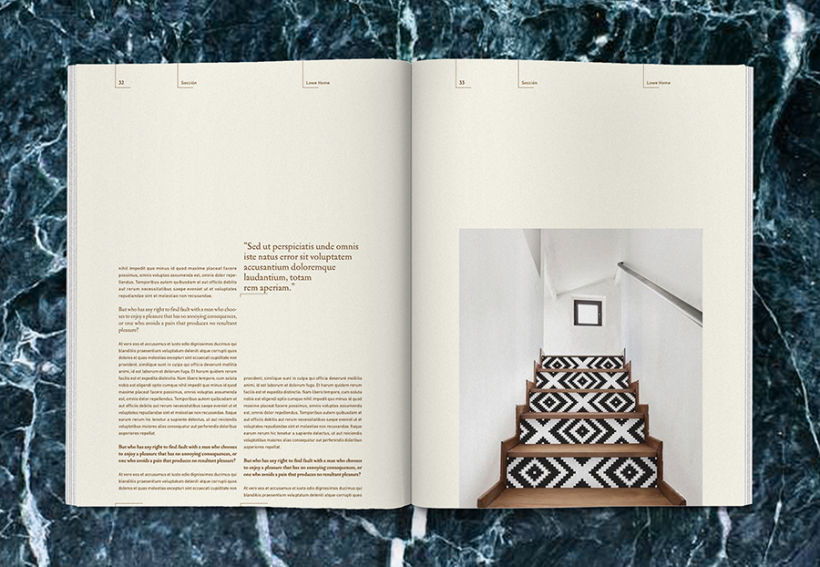 Lowe Home - Proyecto Personal Editorial 17