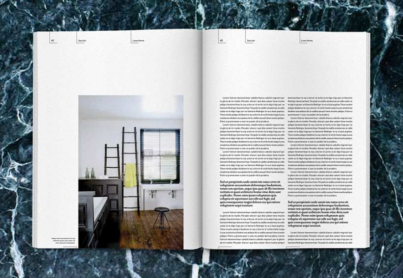 Lowe Home - Proyecto Personal Editorial 20