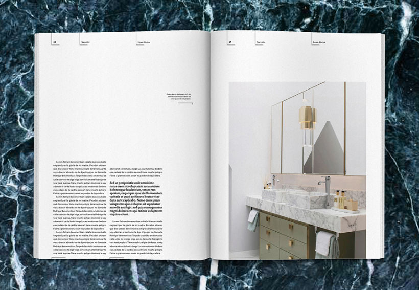 Lowe Home - Proyecto Personal Editorial 21