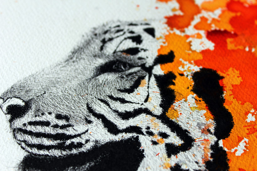 "Involución" Panthera Tigris Sondaica 6