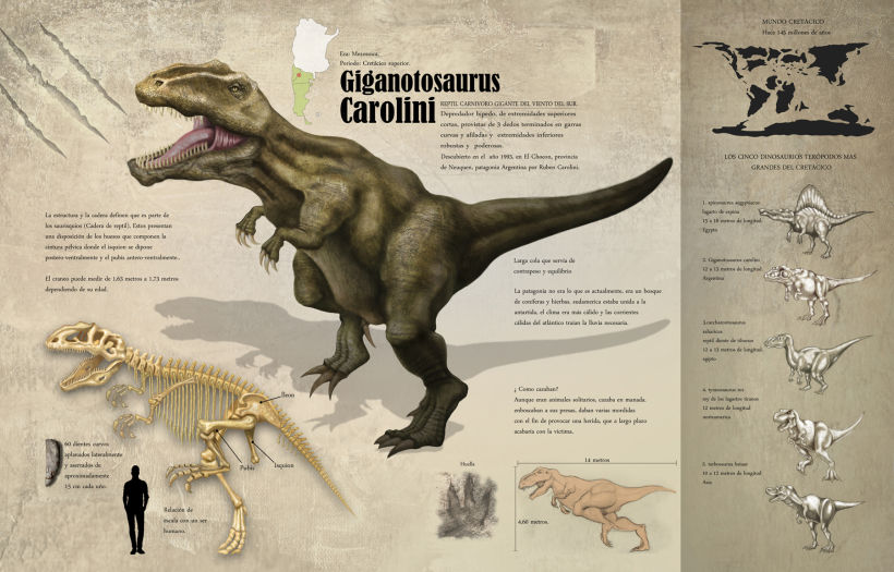 Giganotosaurus carolini 0