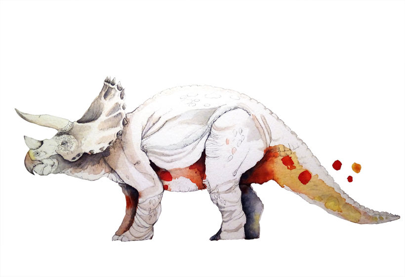 Triceratops -1