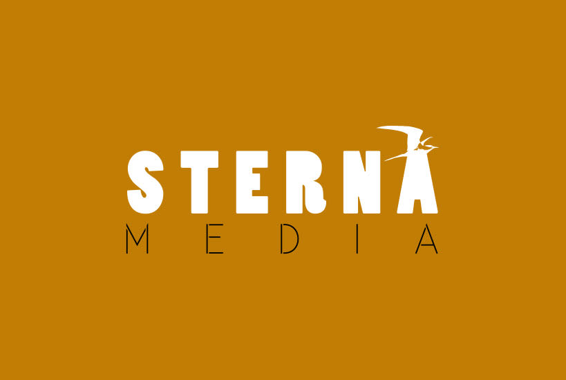 Branding e Identidad Sterna Media -1