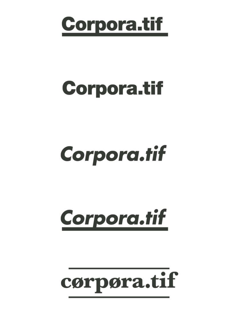 Diseño logo Corpora.tif 1