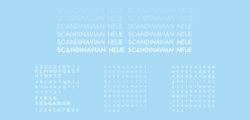 Scandinavian Airlines 8