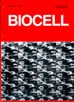 Editora en Jefe Revista BIOCELL -1