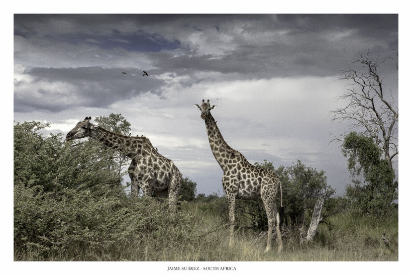 Botswana - Paisajes y retratos 10