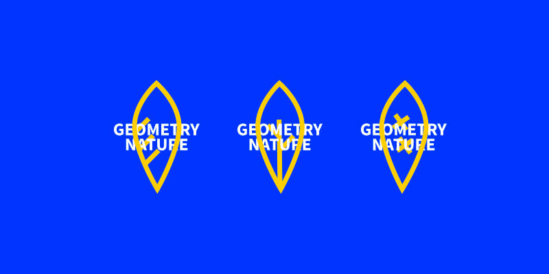 Geometry Nature 0