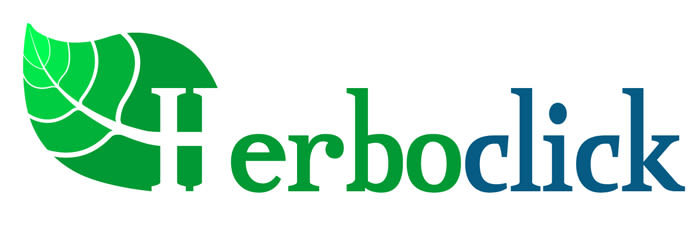 Herboclick - Imagen corporativa -1