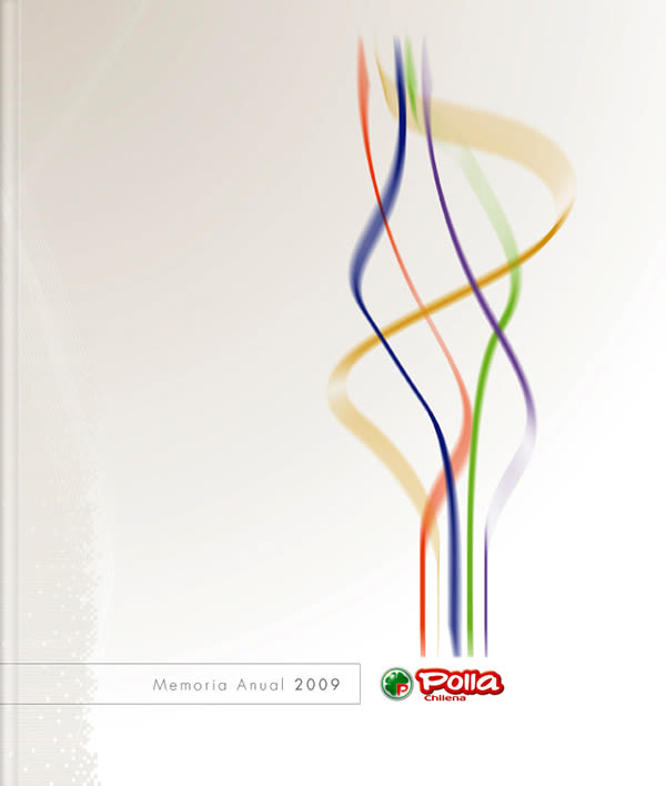 Logotipos + Ilustraciones + Annual Report +  publicidad 16