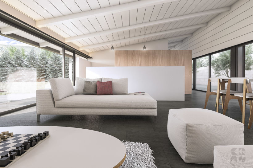 Render - Arquitectura 3D - Diseño - Casa Patio 6