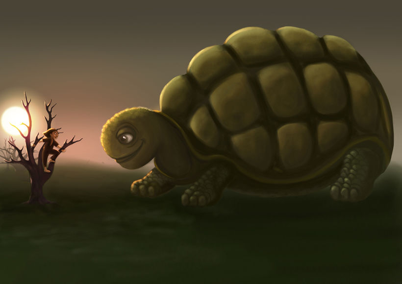 Tortoise Morla 0