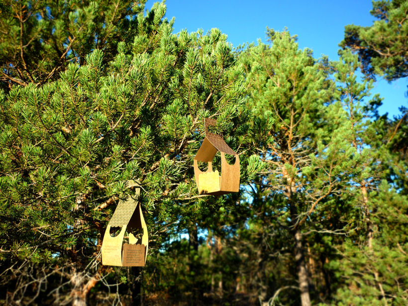 Birdhouses 10