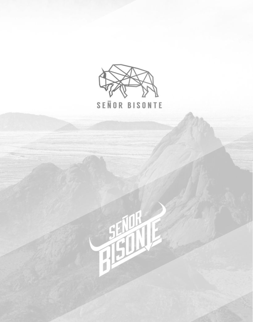Señor Bisonte Branding/Cover Album 0