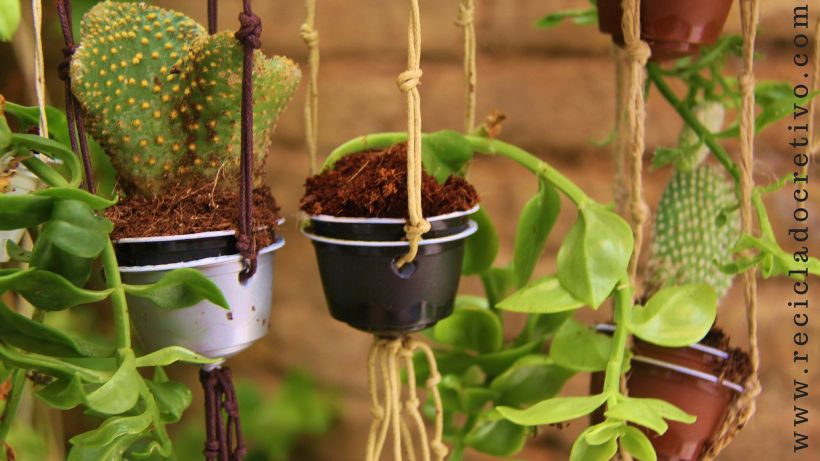 Mini jardín con cápsulas de café Dolce Gusto - Reciclado, reciclaje, upcycling 7