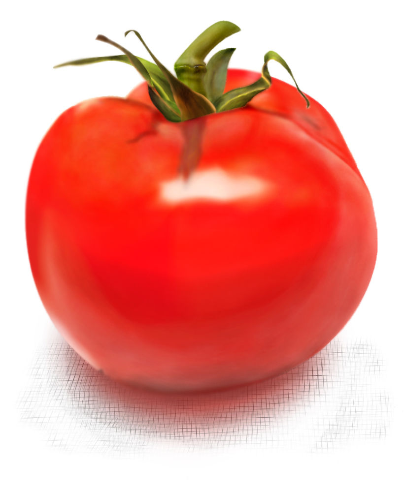 Dibujo tomate -1