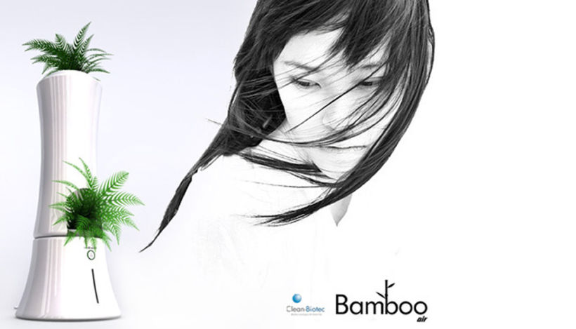 Bamboo Air 0