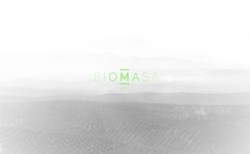 Biomasa Jaén 7
