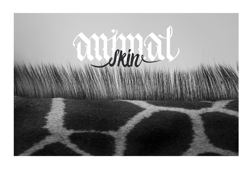 Animal Skin - Caligrafía Gótica -1