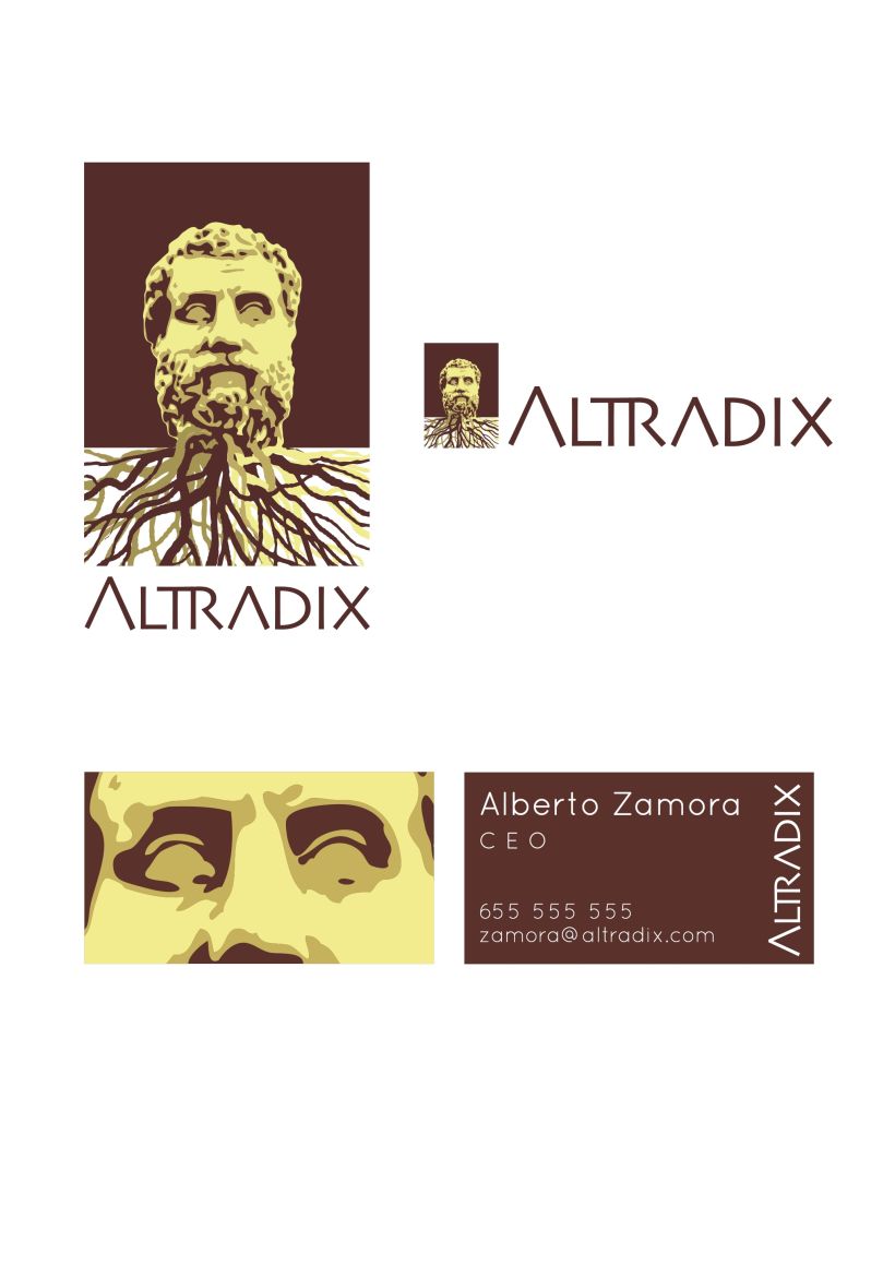Altradix: Nombre e Imagen corporativos 1