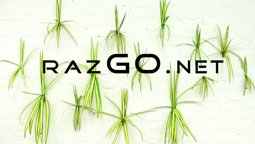 Busco socio/a con experiencia y contactos para abrir mercados web - RAZGO.NET  1