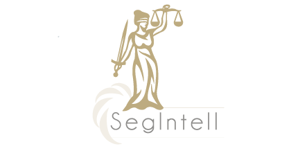 Logotipo SegIntell -1