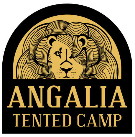ANGALIA, hotel en Tanzania. Creación de la imagen para el hotel y diferentes aplicaciones. -1