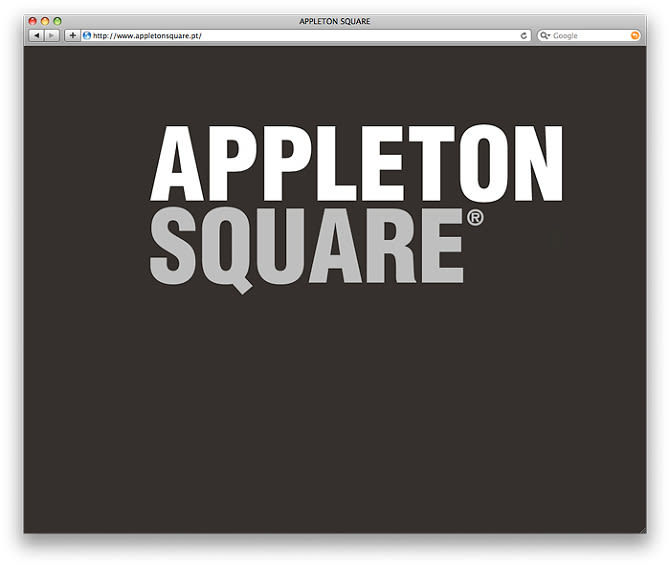  Website for "Appleton Square | Art Gallery" -1