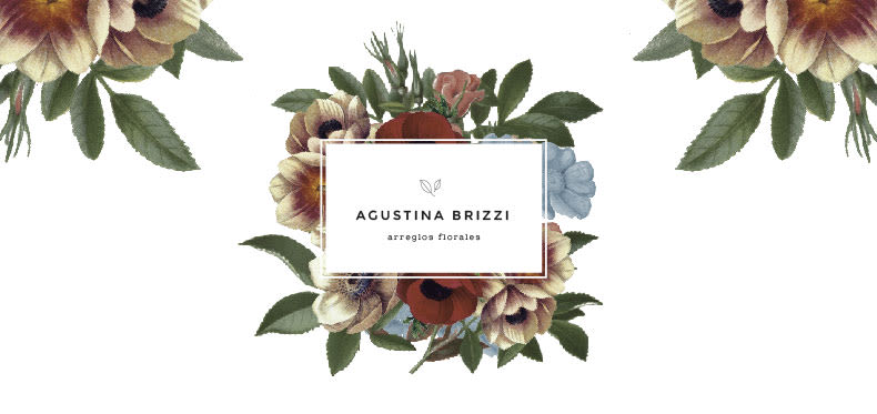 Branding / Agustina Brizzi 0