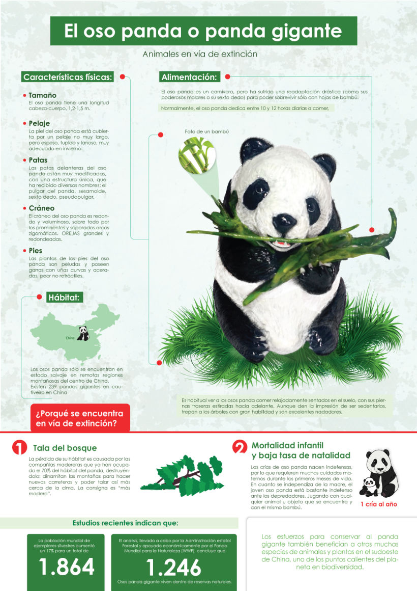 8 melhor ideia de Desenho de panda