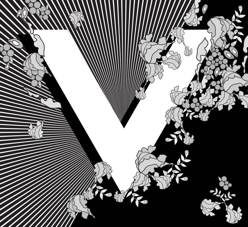 V is for Veil 0